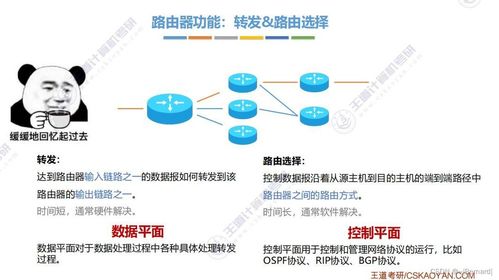 王道考研計(jì)算機(jī)網(wǎng)絡(luò)第四章知識點(diǎn)匯總 計(jì)算機(jī)網(wǎng)絡(luò)信息管理與服務(wù)