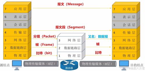 王道考研筆記整理 計(jì)算機(jī)網(wǎng)絡(luò)體系結(jié)構(gòu)與信息管理服務(wù)
