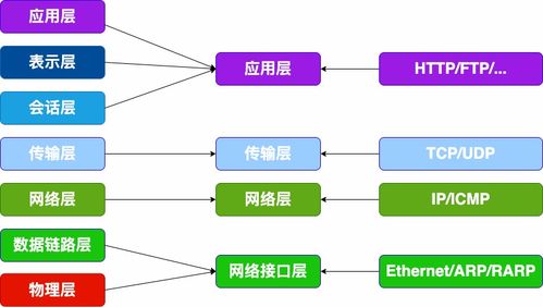 計算機網(wǎng)絡的層次結(jié)構(gòu)與信息管理服務